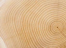 Borates for Wood Protection: Forest-to-Market