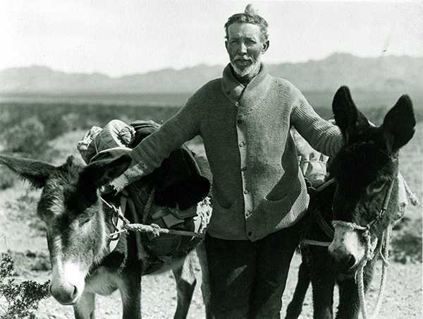 Pioneering miner with two mules