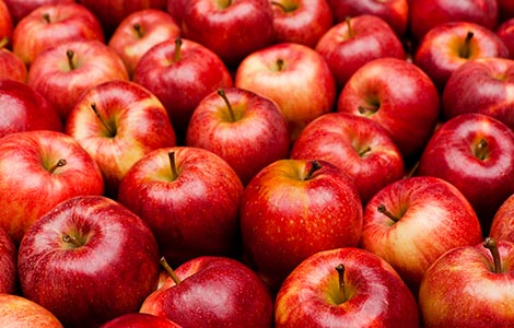 Apples: Boron applications for increased production