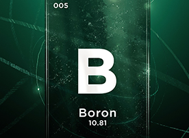 Boron added to 2025 List of Critical Minerals in U.S.