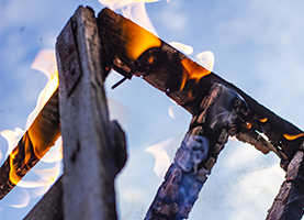 Safer wood starts with borate flame retardants