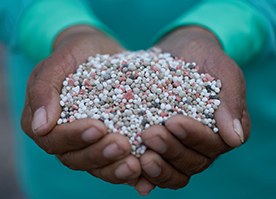 Micronutrients take macro role at Global Micronutrient Summit