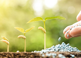 An Agricultural Borates Primer