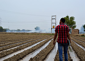 Solving Growing Pains and Boron Deficiency in Indian Agriculture