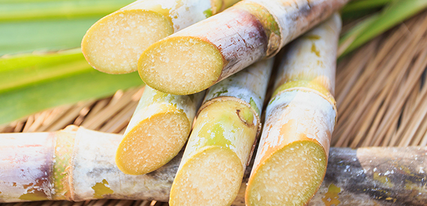 Sugar Cane (Brazil, Granubor and Solubor)