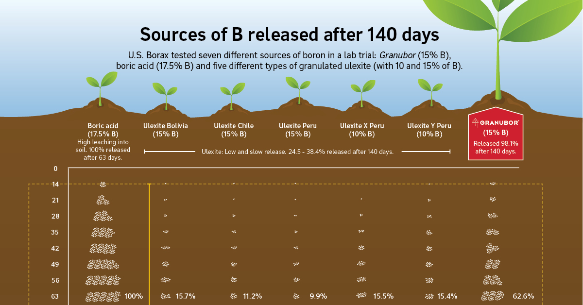 Why Granubor Is Perfect for Your Crops