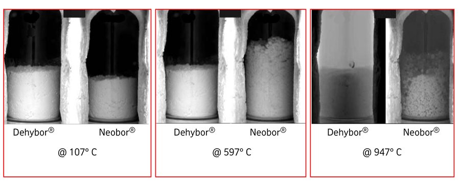 Dehybor and Neobor samples